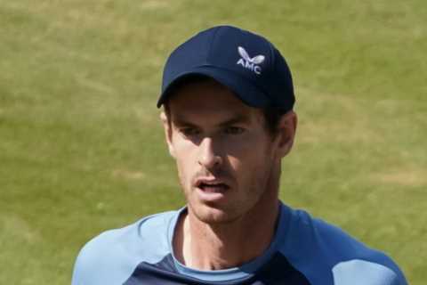Andy Murray suffers Wimbledon injury scare as Brit requires treatment during tough Stuttgart final defeat to Berrettini