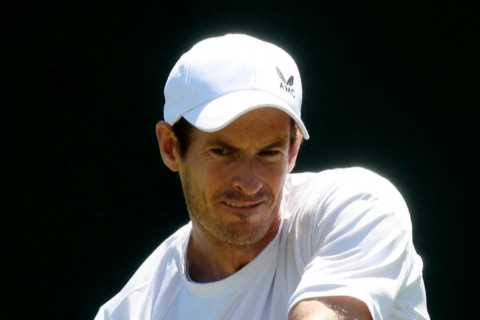 ‘I still believe’ – Andy Murray says he CAN win Wimbledon despite his five years of injury hell