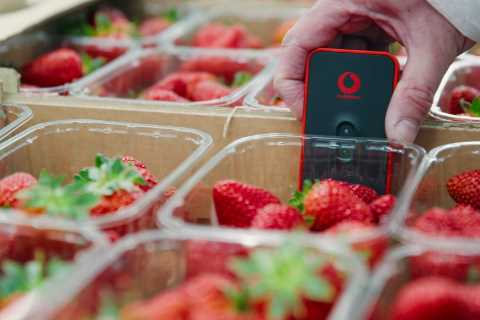 Wimbledon strawberries tracked by high-tech sensors from soil to punnet to ensure they’re served up in perfect condition