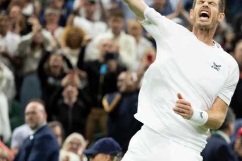 Andy Murray does UNDERARM SERVE as he battles back from set down to beat James Duckworth at Wimbledon under roof