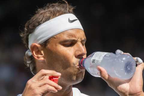 Wimbledon warns players to cut down on food after greedy coach pockets 27 yoghurts