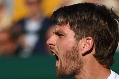 Cameron Norrie morphed from helpless chicken to ferocious dog as he aims to sink teeth into Djokovic in Wimbledon semi