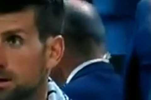 Novak Djokovic refuses to reveal what is in ‘magic potion’ as he’s spotted inhaling from bottle on Wimbledon final run