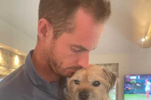 ‘This really hurts’ – Andy Murray’s heartbreaking post after beloved dog ‘Maggie Mayhem’ dies during Wimbledon fortnight