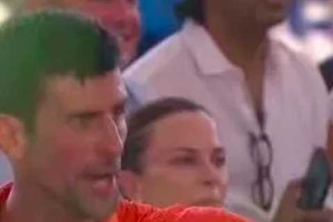 Raging Novak Djokovic kicks his brother out of his coaching box during meltdown at Adelaide Open