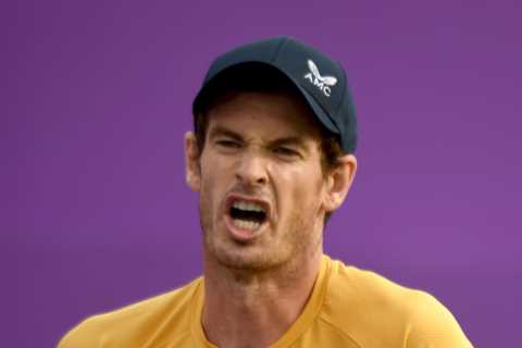 Andy Murray’s family fume as Brit hero is LEFT OUT of Wimbledon’s painting of 15 champions past and present