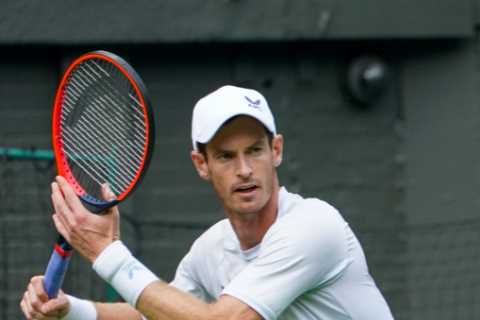 Tennis fans claim Wimbledon 2023 draw is ‘RIGGED’ and demand redraw as they say ‘y’all are not serious’