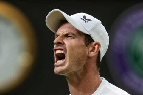 What does AMC stand for on Andy Murray’s kit at Wimbledon?