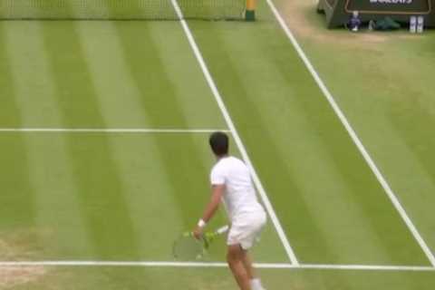 England cricket fans beg Wimbledon umpire to ‘pull on some whites’ and join Ashes team after superb catch from chair