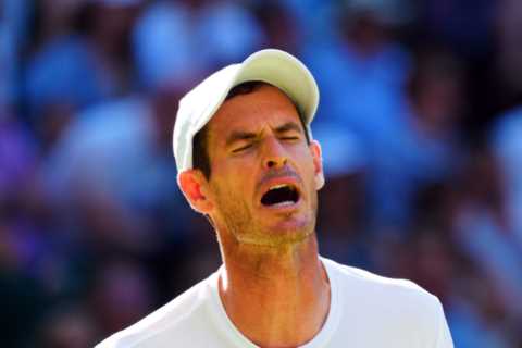 Brit tennis legend Andy Murray set for surprise career change as ace considers future after Wimbledon exit