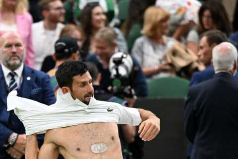 Wimbledon fans think Novak Djokovic is Terminator after star reveals ‘biggest secret’ when he takes his shirt off