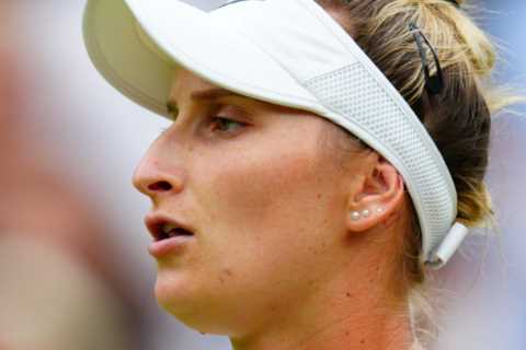 In the last year I’ve been dumped by Nike and had surgery – now I could become the most tattooed Wimbledon champ ever