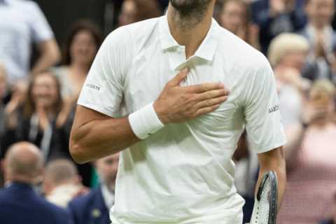 Novak Djokovic still on course for record-levelling eighth Wimbledon title after thumping Jannik Sinner to reach final