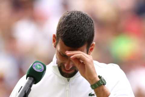 Novak Djokovic breaks down in tears on Centre Court after agonising Wimbledon defeat as wife Jelena looks on
