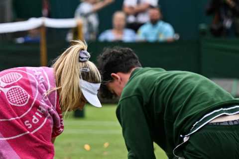 Wimbledon forced to remove harmless item from shelves during tournament because of eco-idiots