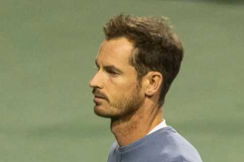 Andy Murray Apologizes to Canadian Open Crowd as He Suffers Injury Scare Just Two Weeks Before US Open