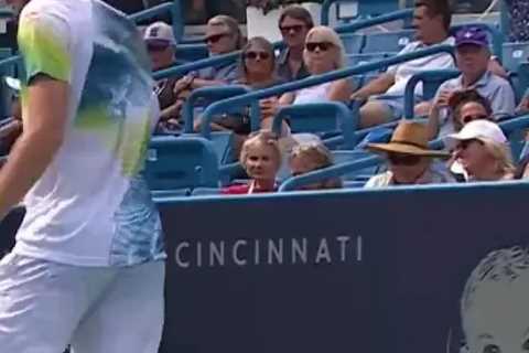 Tennis Fan Apologizes for Imitating Bee During Stefano Tsitsipas' Match at Cincinnati Masters