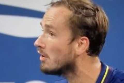Furious Daniil Medvedev slams 'STUPID' crowd at US Open