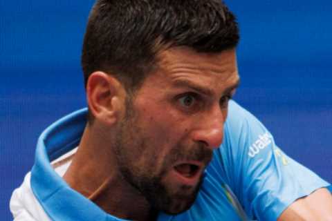 Novak Djokovic loses his cool with his own fan during US Open quarter-final