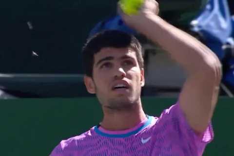 Carlos Alcaraz's Tennis Match Halted by Bee Invasion as Wimbledon Champ Seeks Shelter