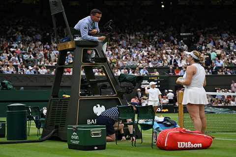 That Wimbledon Umpire? Yeah, He's Gone Missing After Yesterday's Mess