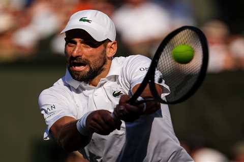 That Moment When Djokovic Lost His Cool (And Maybe His Wimbledon Legacy)