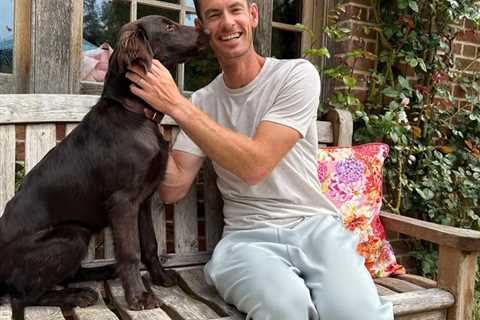 Andy Murray Just Got a New Puppy and Honestly, I'm Not Crying, You Are